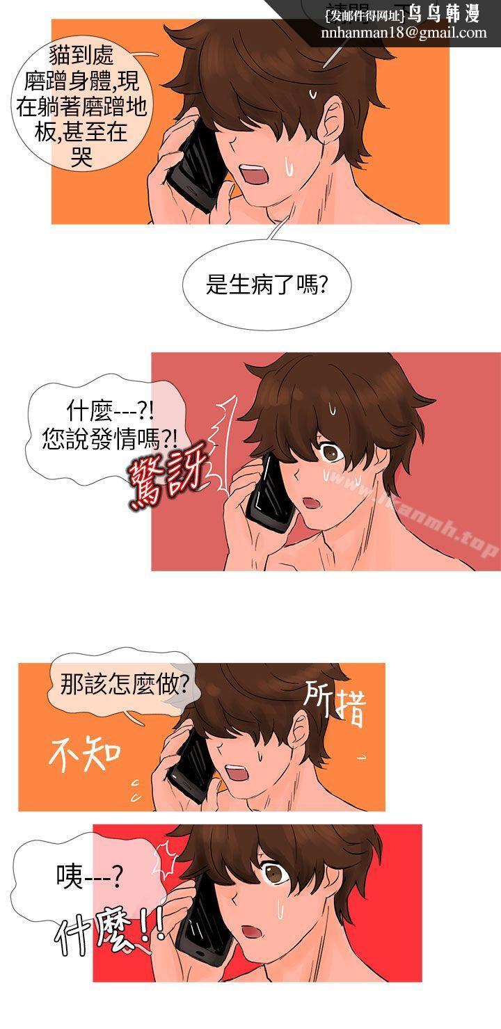 小野猫驯服手册第3话