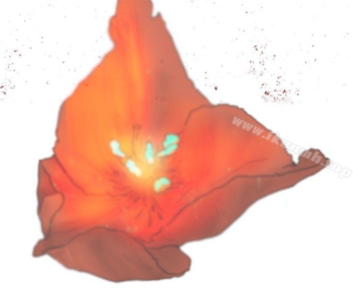 觉醒(完结)最终话