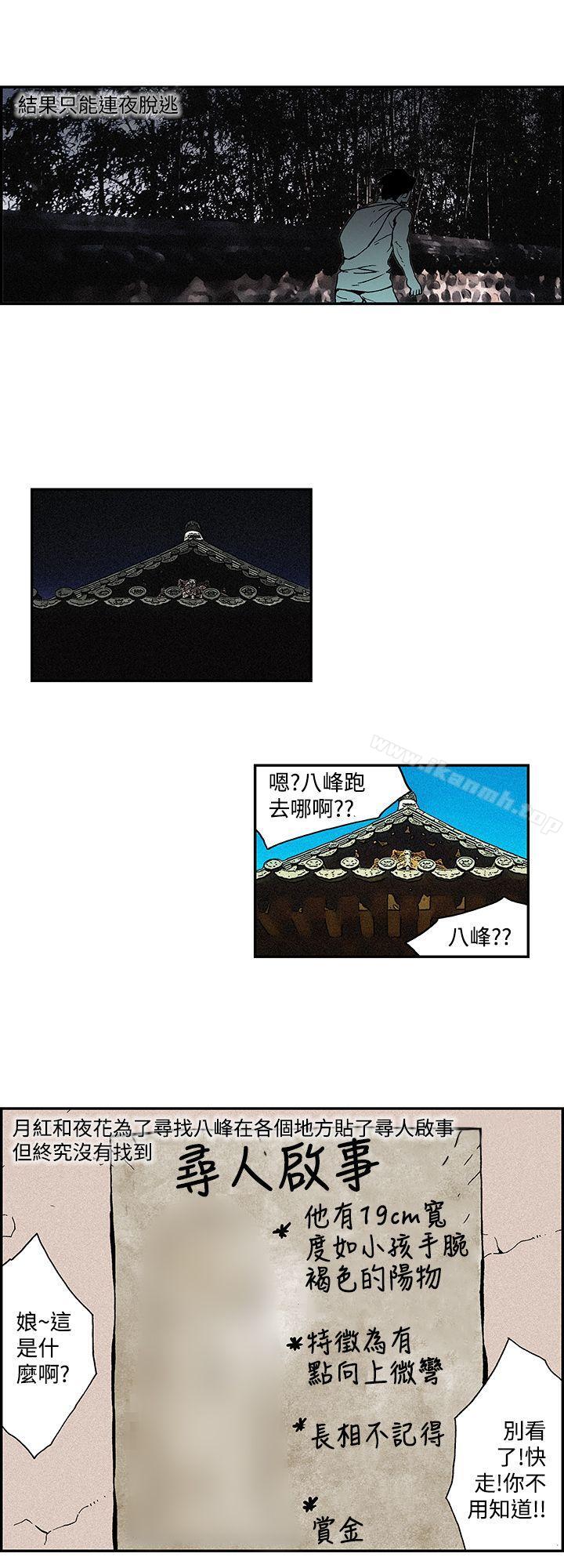 月红夜花(完结)最终话