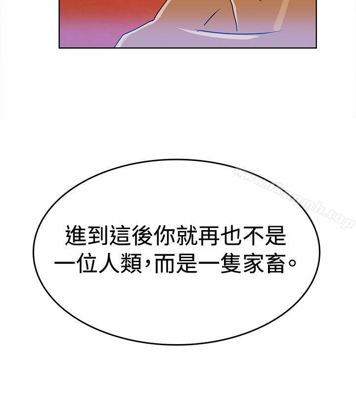 猪仔农场(完结)第4话