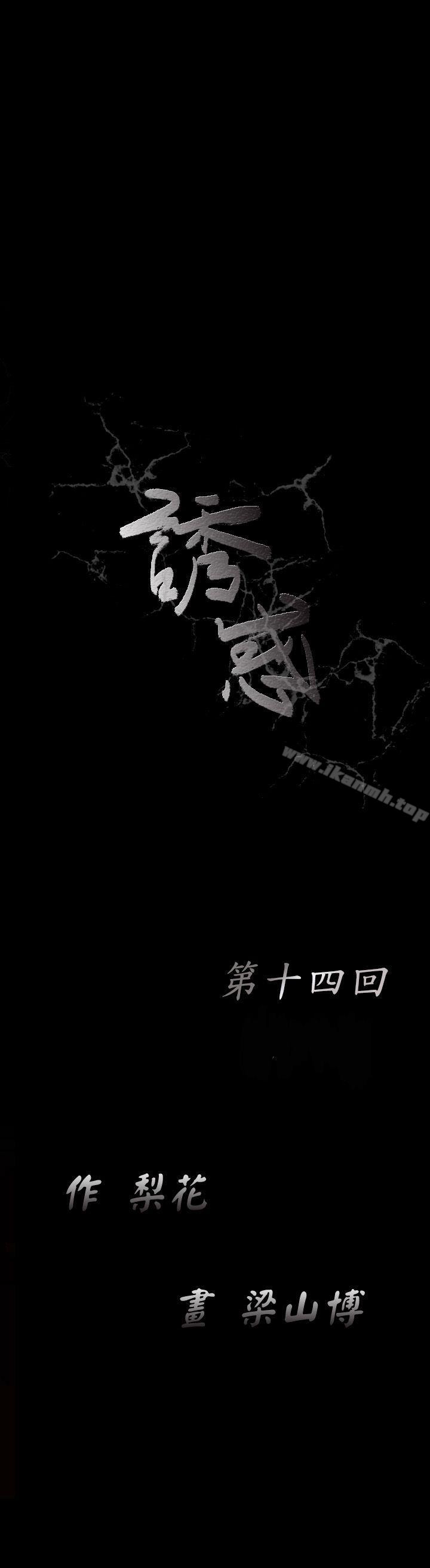 诱惑(完结)第14话