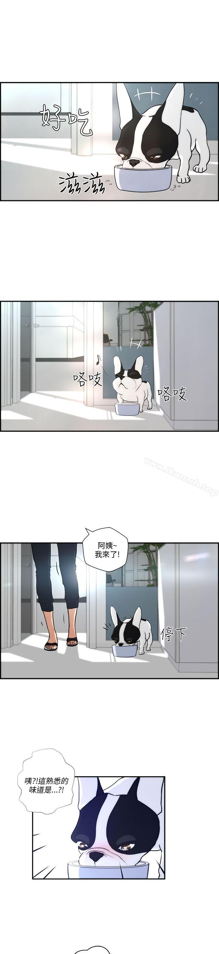 变成狗的男人第4话