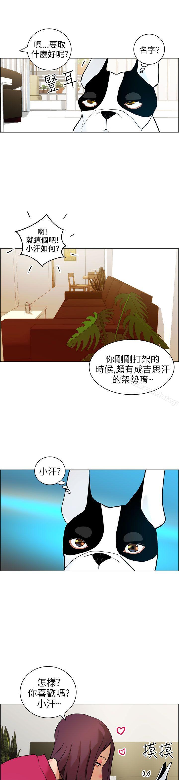 变成狗的男人第9话