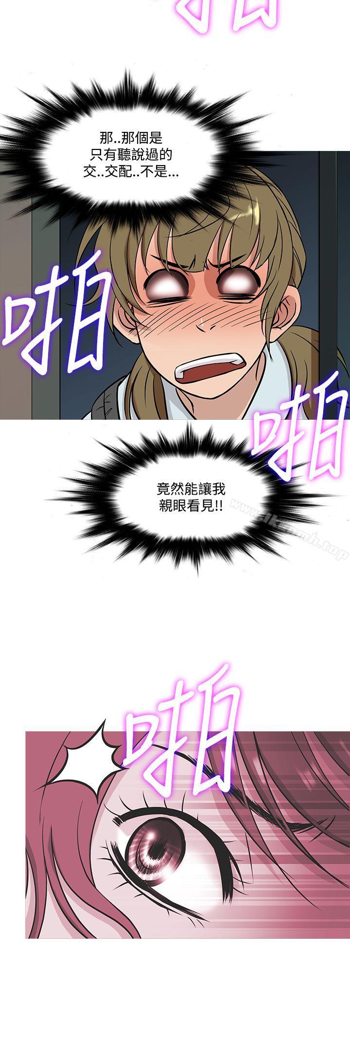 鸭王(无删减)第51话