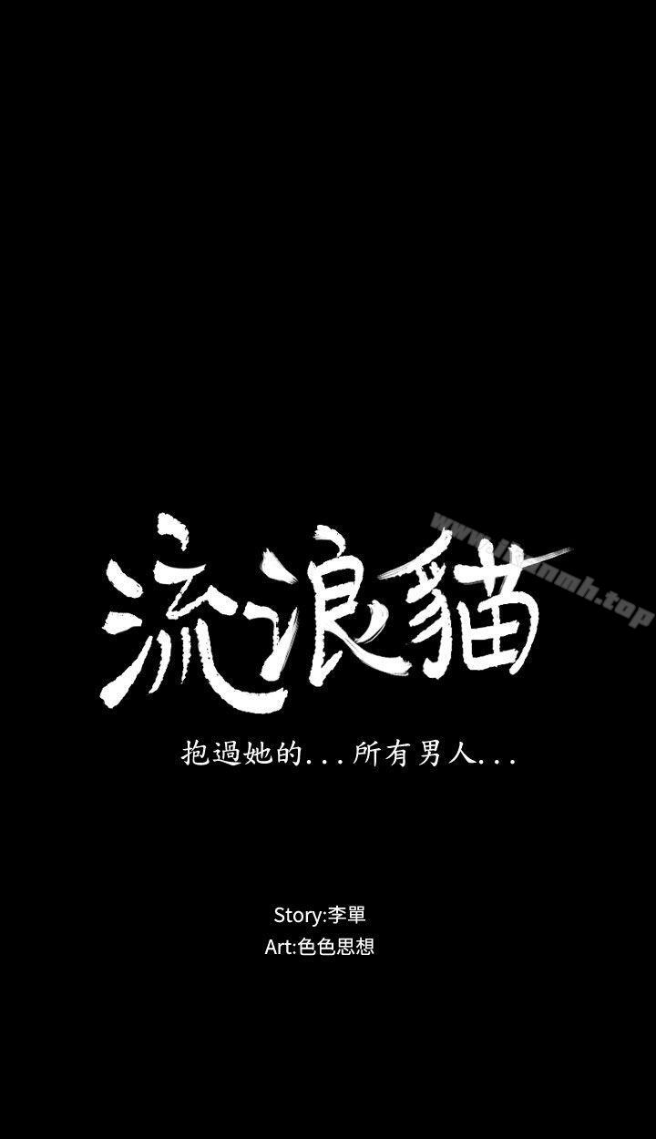 流浪猫第6话