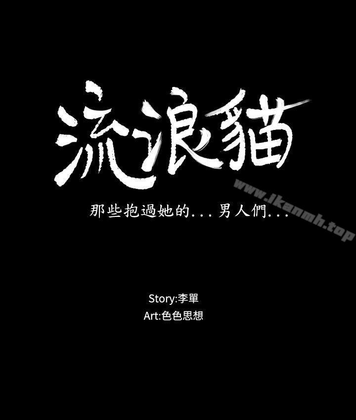 流浪猫第11话