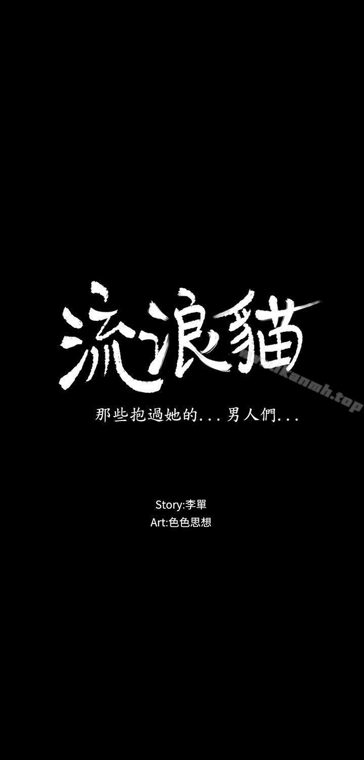 流浪猫第22话