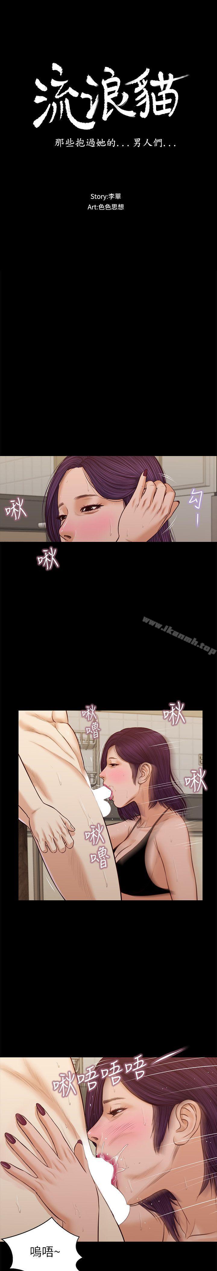 流浪猫第37话-紫儿会去找谁?