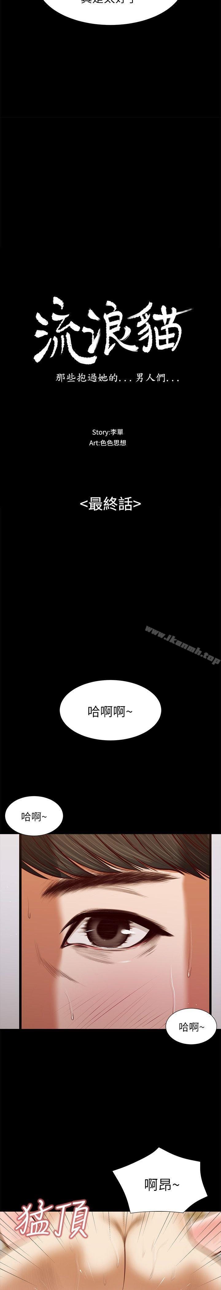 流浪猫最终话-你是天真还是傻?