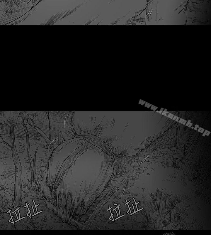 SEEDTheBeginning第5话