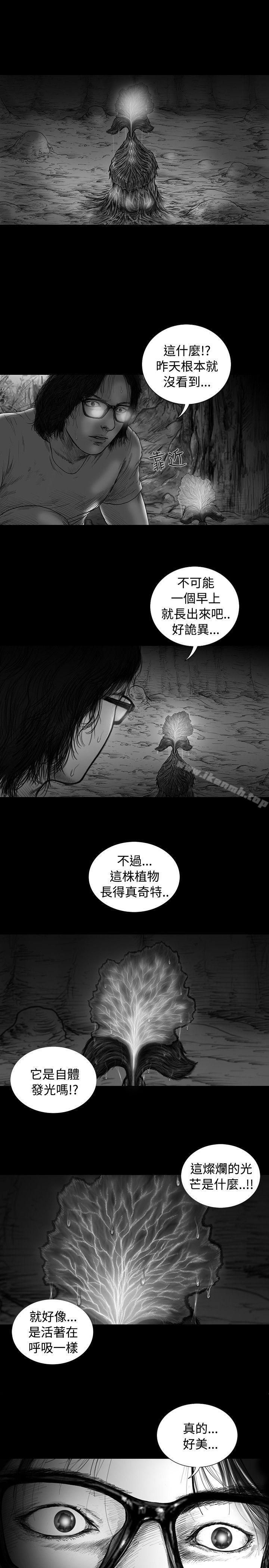 SEEDTheBeginning第10話