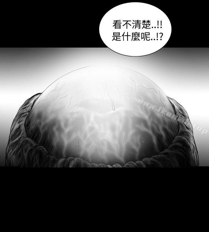 SEEDTheBeginning第15话