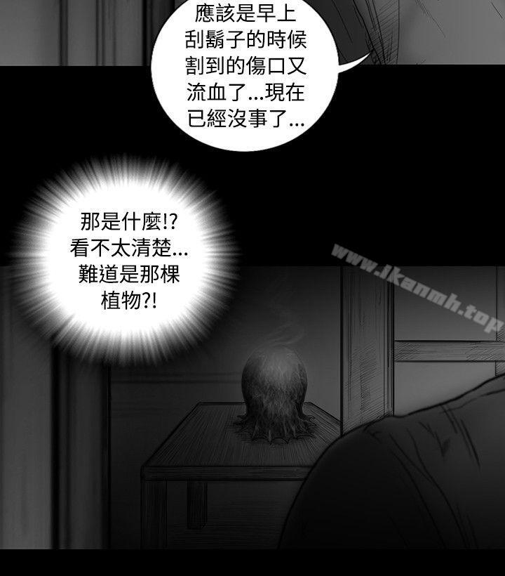 SEEDTheBeginning第17话