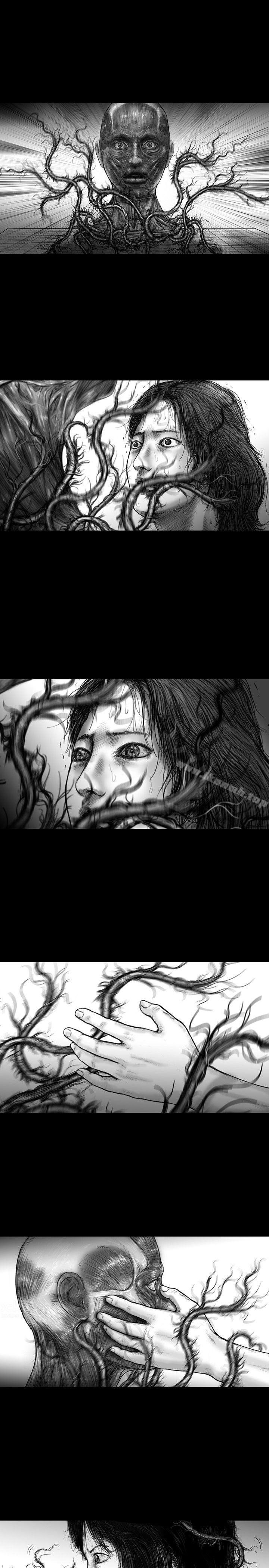 SEEDTheBeginning第20话