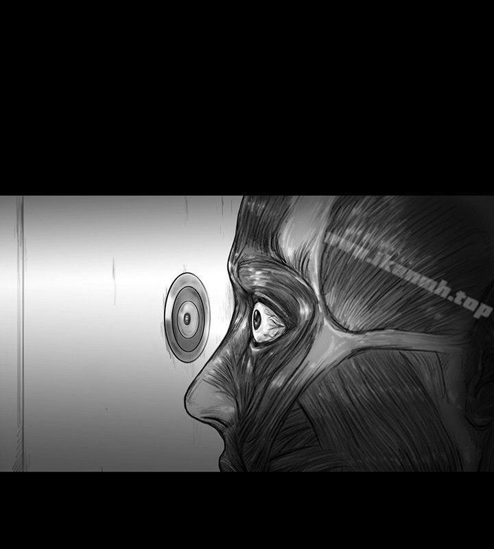 SEEDTheBeginning第20话