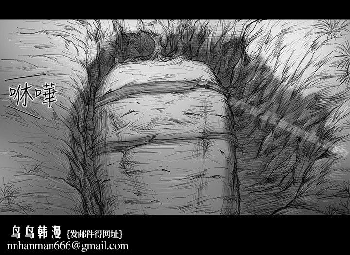 SEEDTheBeginning第29话