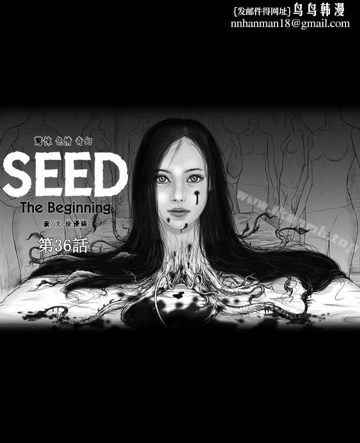 SEEDTheBeginning最终话
