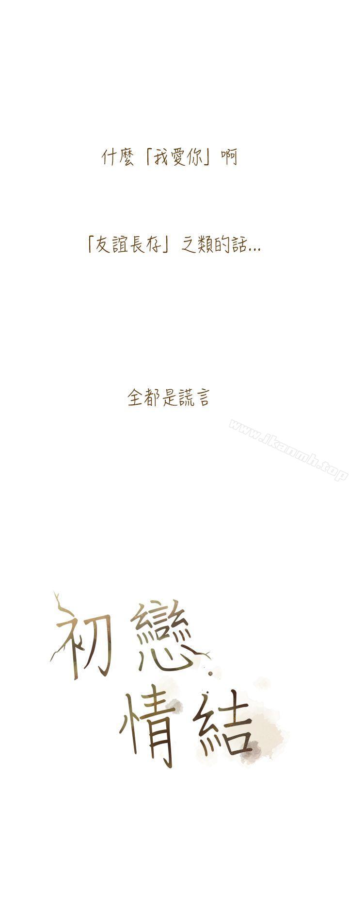 初恋情结后记