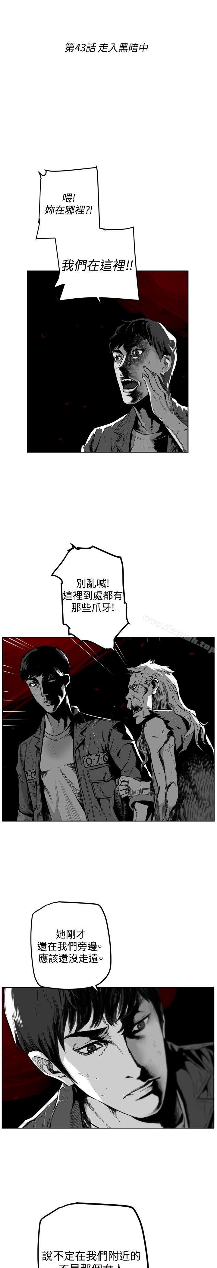 第7圆(完结)第43话