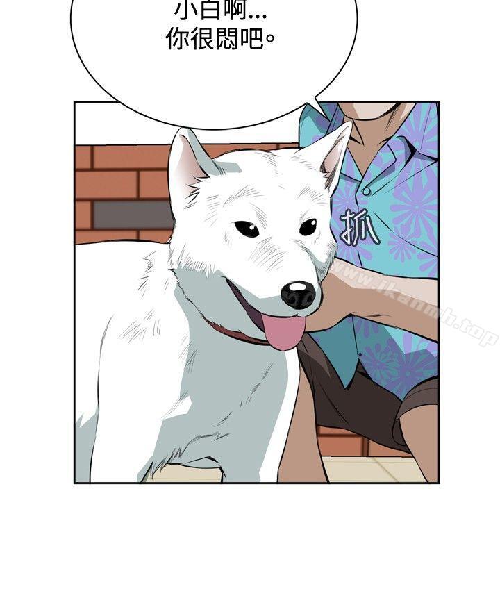 偷窥（全集无删减）第20话