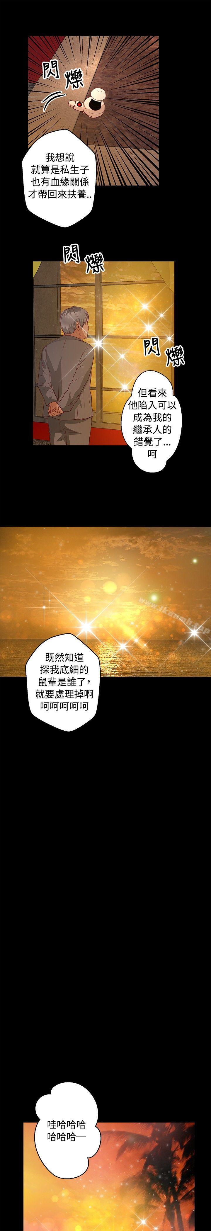 丛林爱爱法则第37话