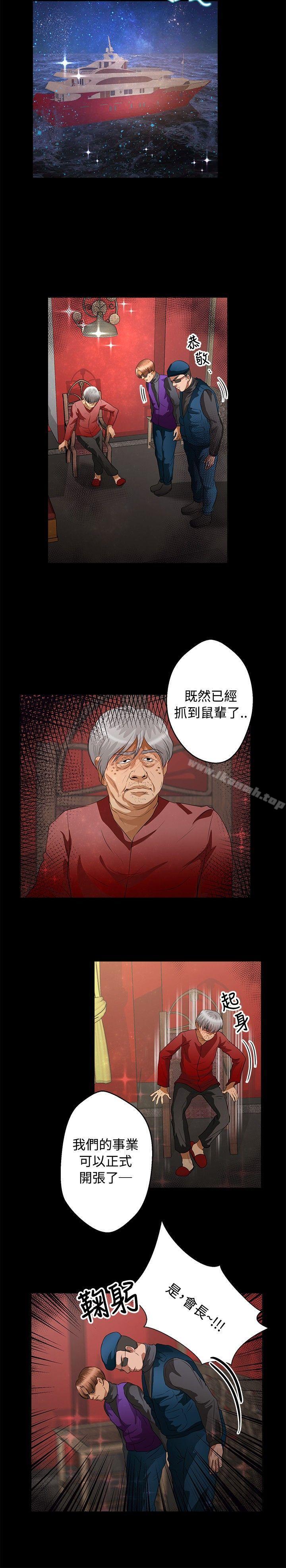丛林爱爱法则第41话