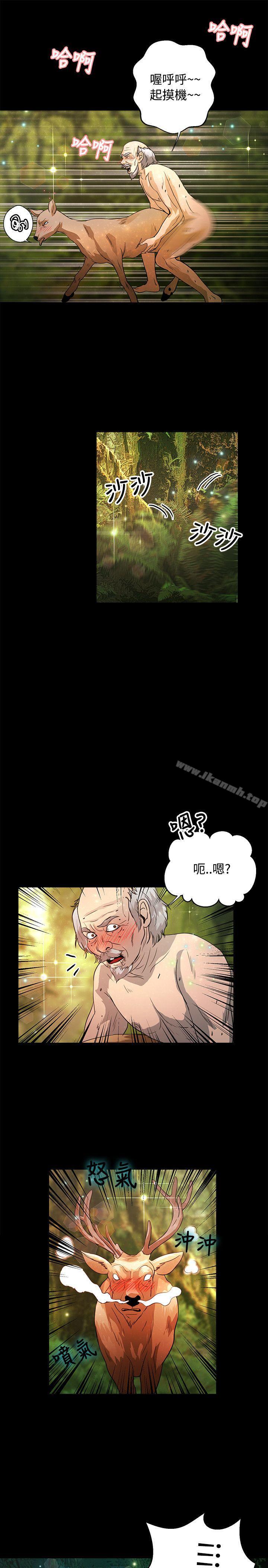丛林爱爱法则最终话