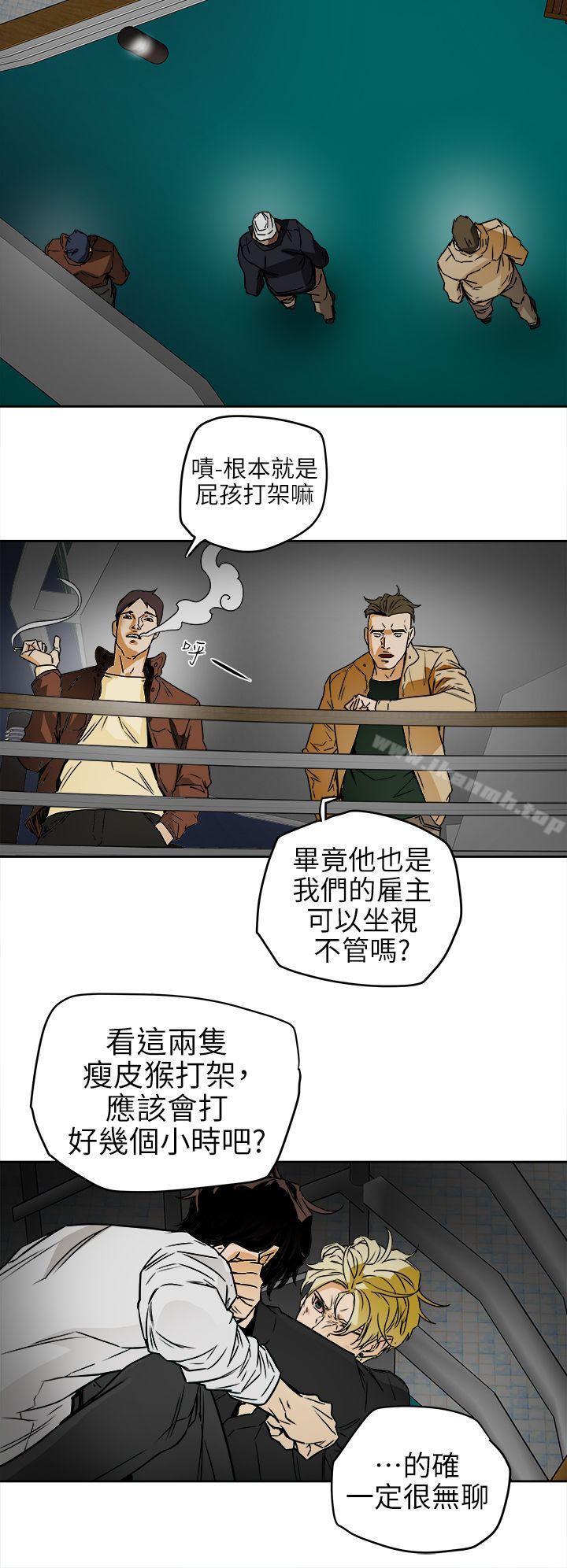 Honeytrap甜蜜陷阱第99话-底端的战争