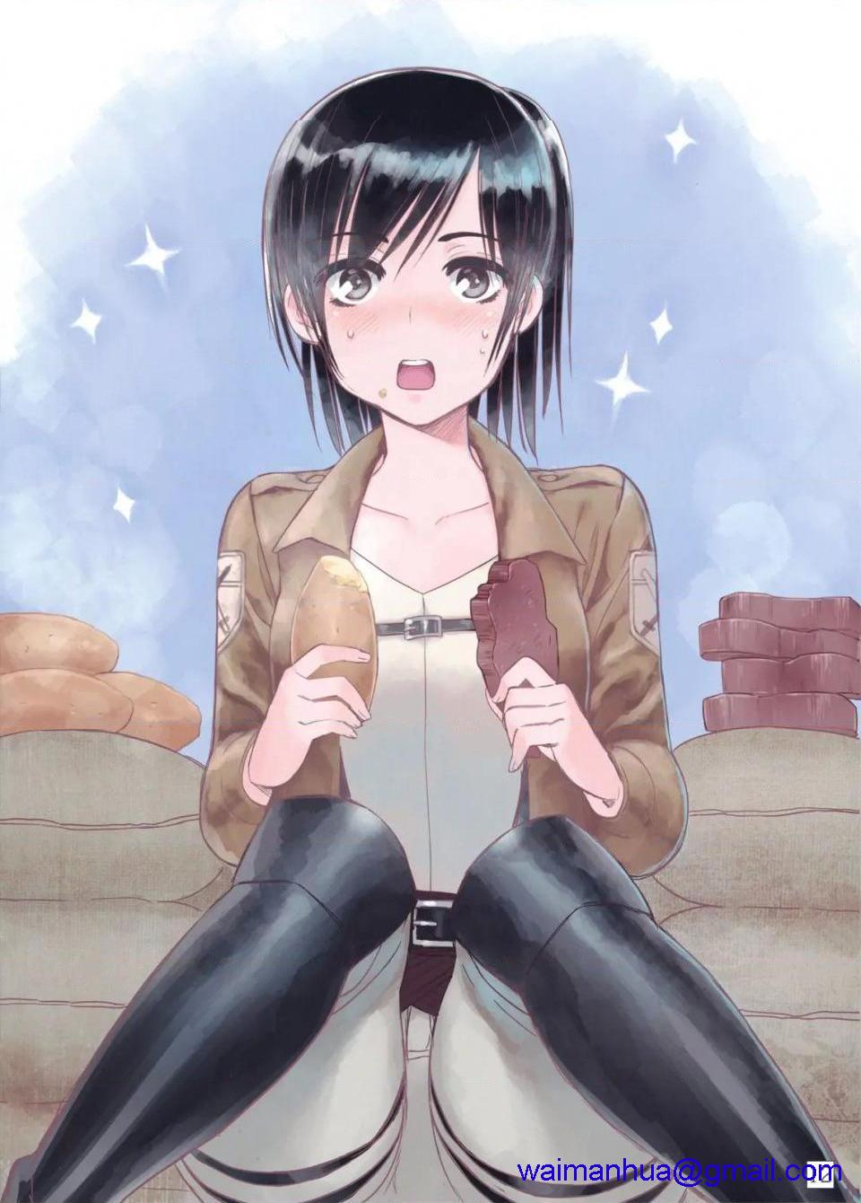 进击的巨人（本子）精选合集第28话28.进击的巨人第二期（C82)